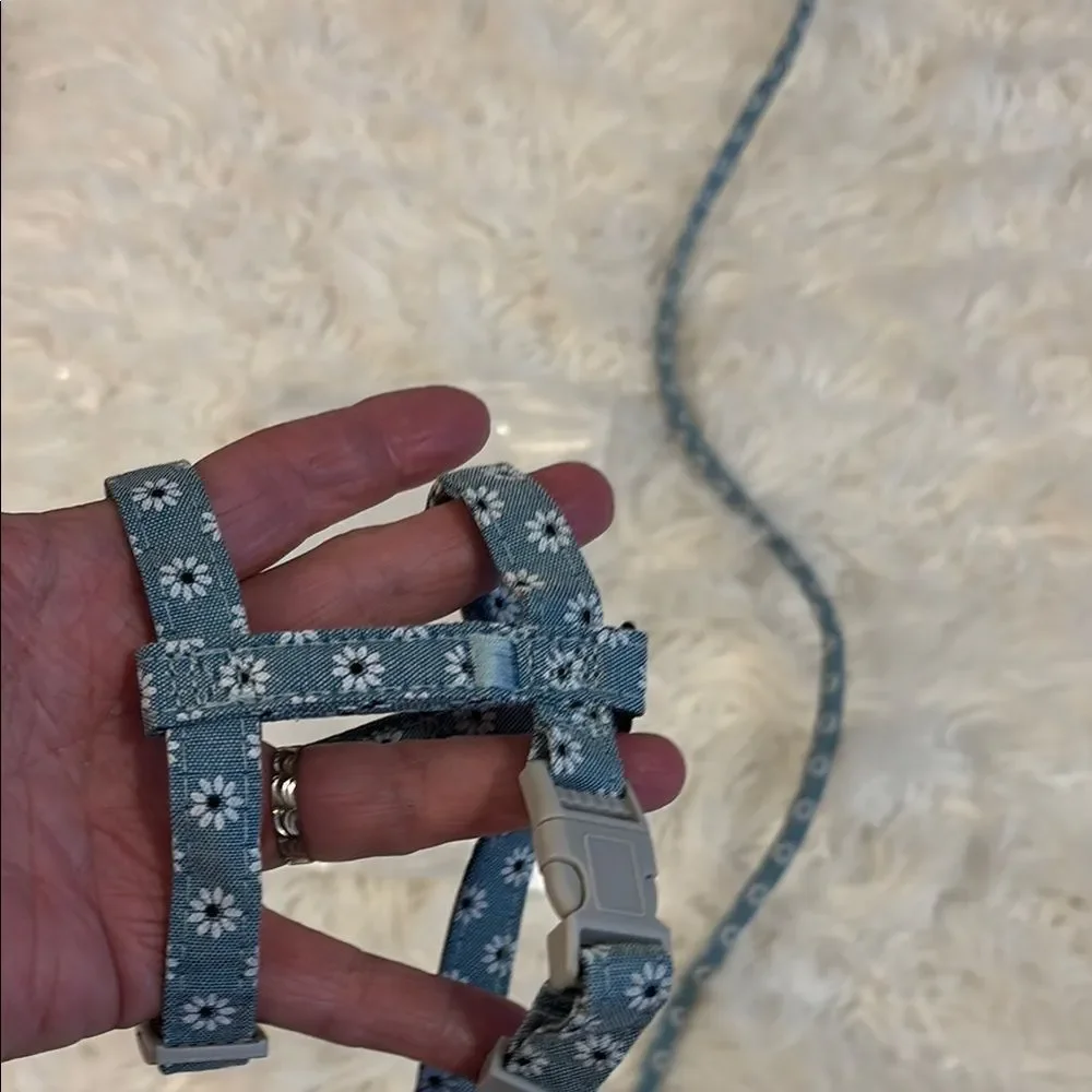 TIESOME Light Blue Cat Harness & Leash